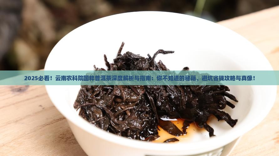 云南农科院国粹普洱茶