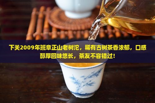 下关2009年班章正山老树沱