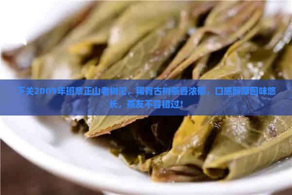 下关2009年班章正山老树沱