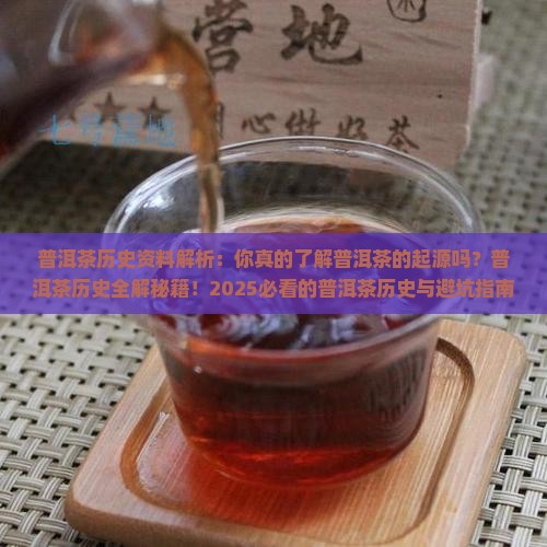 普洱茶历史资料