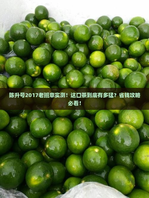 陈升号2017老班章