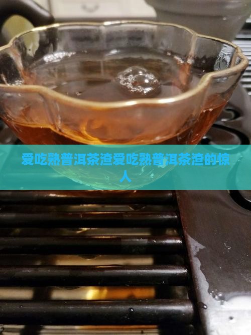 爱吃熟普洱茶渣