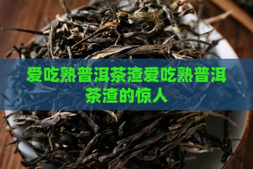 爱吃熟普洱茶渣