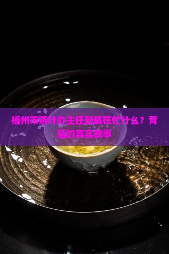 梧州市茶叶办主任