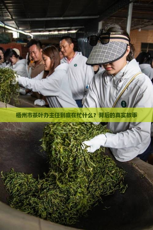 梧州市茶叶办主任