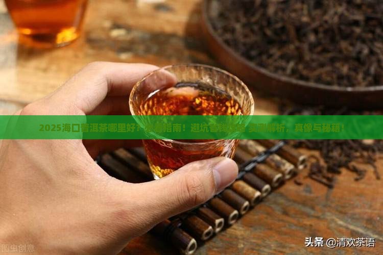 海口普洱茶哪里好