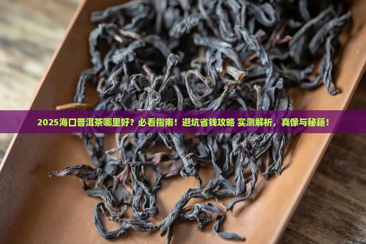 海口普洱茶哪里好