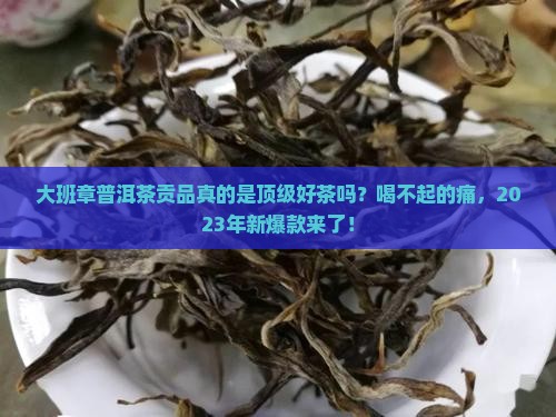 大班章普洱茶贡品