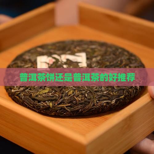 普洱茶饼新的好沉的好