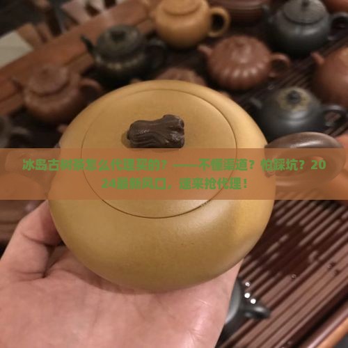 冰岛古树茶怎么代理买的