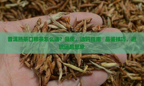 普洱熟茶口粮茶