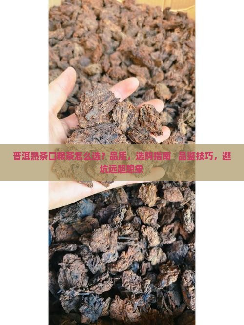 普洱熟茶口粮茶