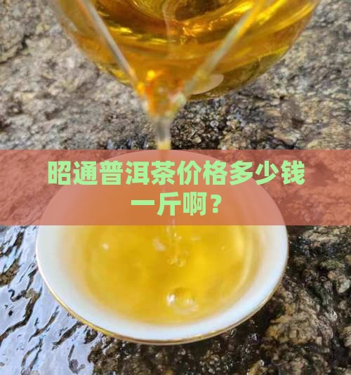 昭通普洱茶价格多少钱一斤