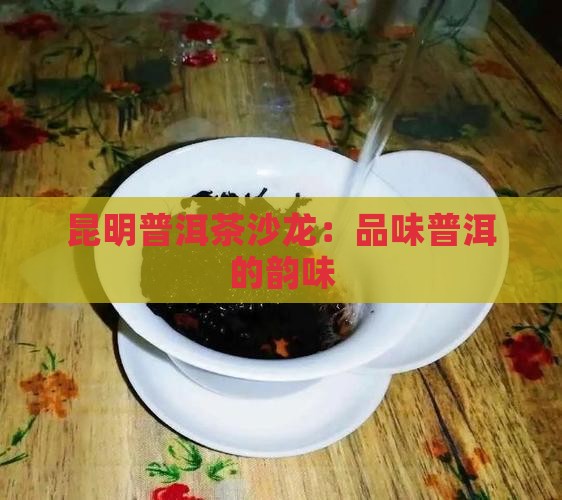 昆明沙龙普洱茶