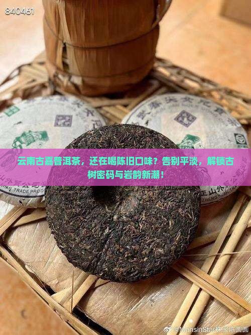 云南古嘉普洱茶
