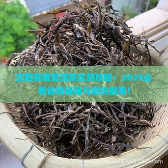 沈阳茶城普洱茶