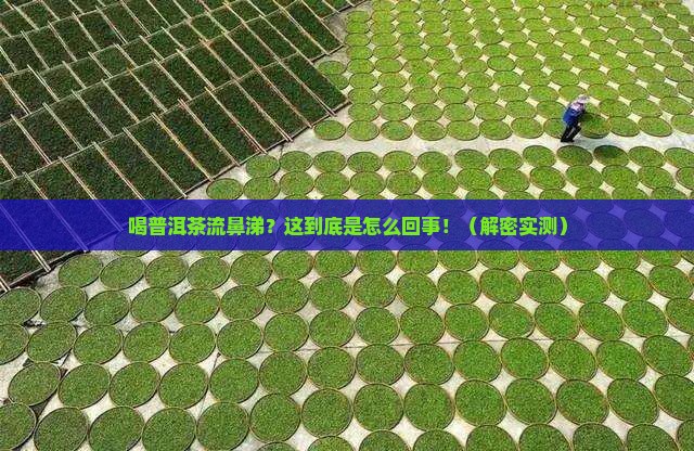 喝普洱茶流鼻涕