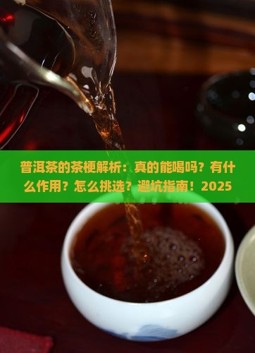普洱茶的茶梗怎么样