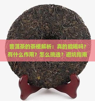 普洱茶的茶梗怎么样