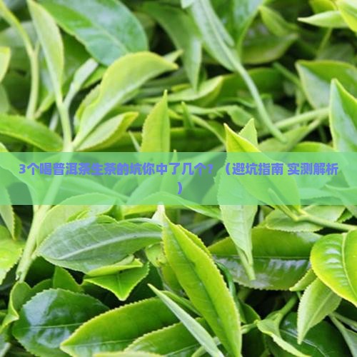 9g普洱茶生茶 9g普洱茶生茶