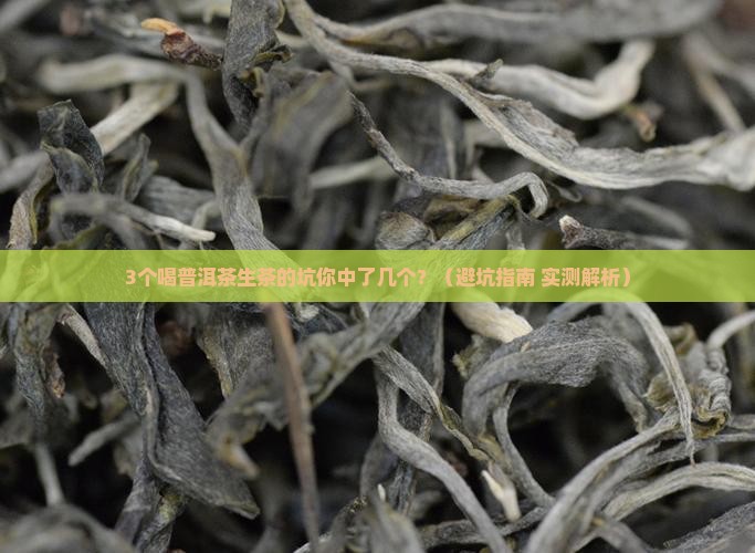 9g普洱茶生茶 9g普洱茶生茶