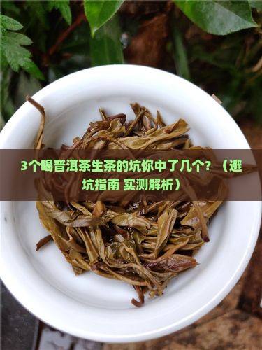9g普洱茶生茶 9g普洱茶生茶