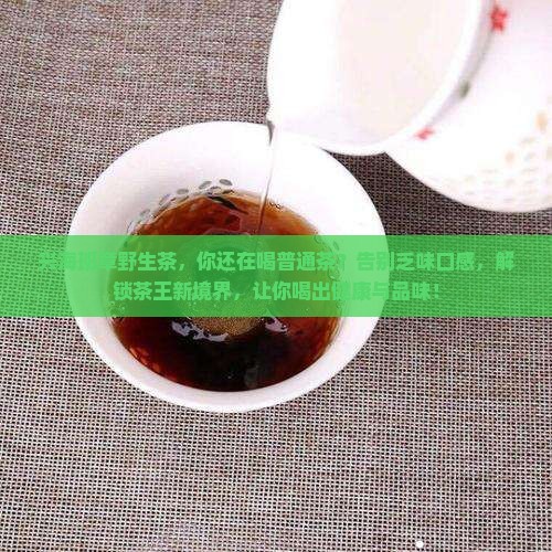 兴海班章野生茶