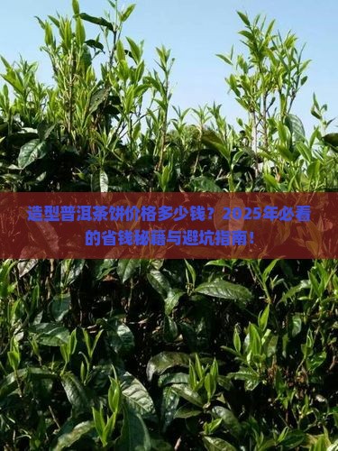 造型普洱茶饼价格多少钱