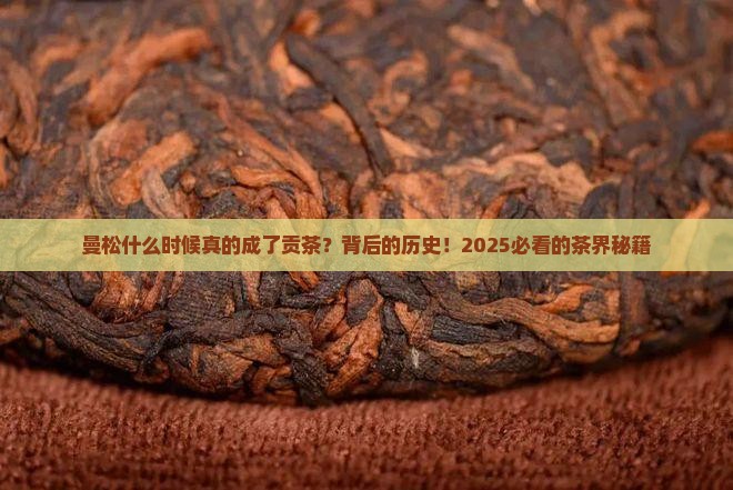 曼松什么时候成为贡茶