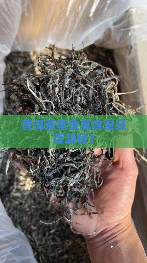 普洱茶黄金叶重金属超标吗