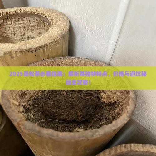 曼松茶的特点有哪些