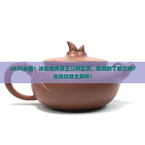 冰岛地界茶王公树
