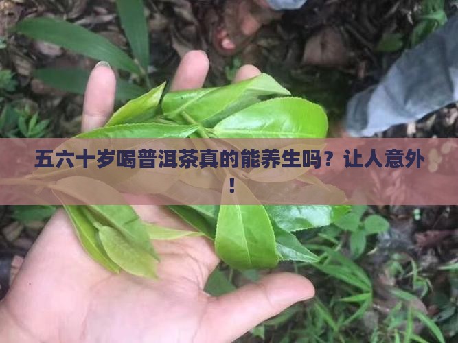 五六十岁喝普洱茶
