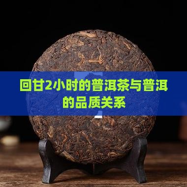 回甘2小时的普洱茶好吗