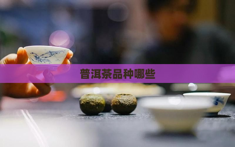 普洱茶品种哪些