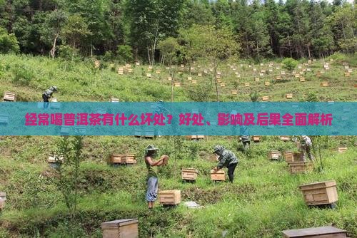 经常喝普洱茶有什么坏处