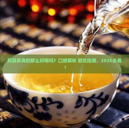 普洱茶区邦崴茶口感