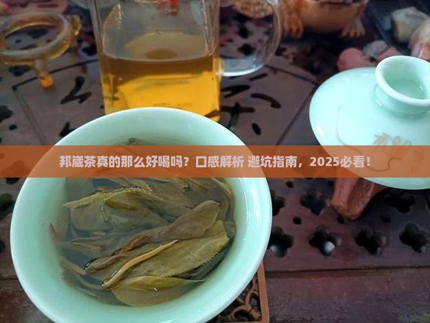 普洱茶区邦崴茶口感