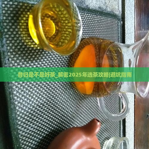 昔归是不是好茶