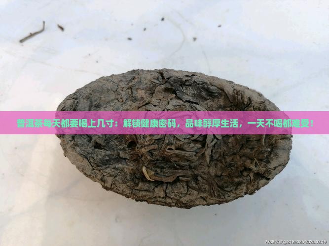 普洱茶每天都要喝上几寸