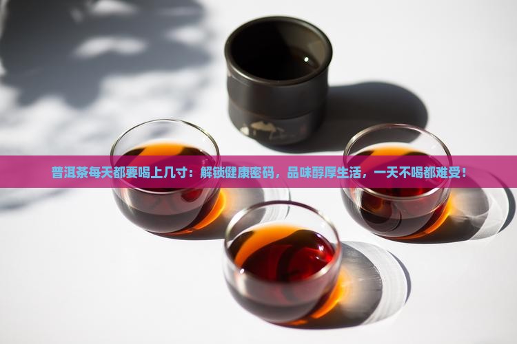 普洱茶每天都要喝上几寸
