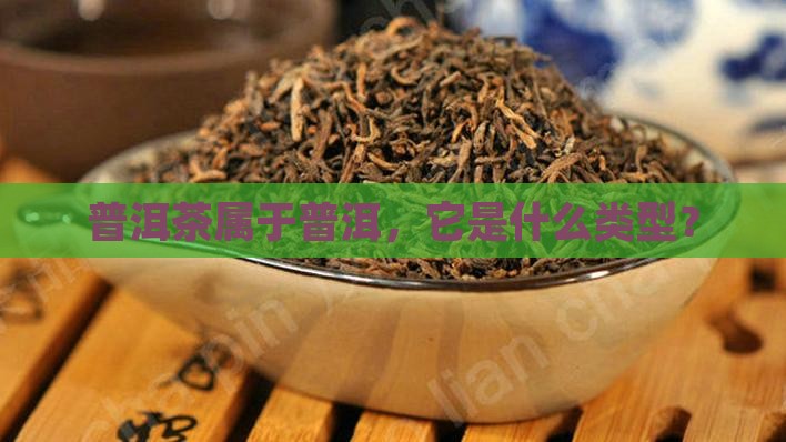 普洱茶属于哪个类型