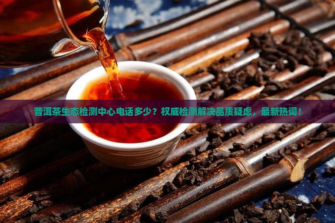 普洱茶生态检测中心电话