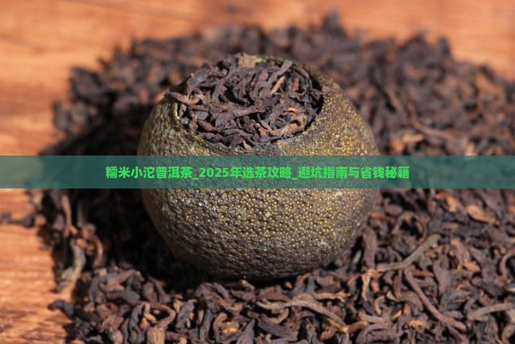 糯米小沱普洱茶