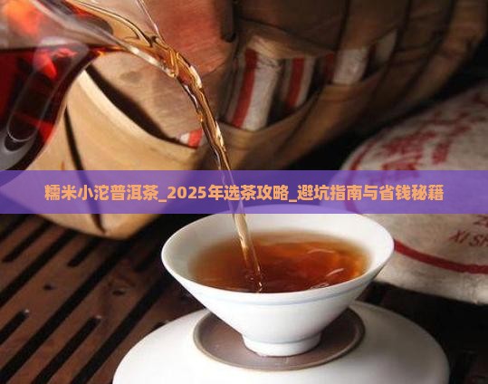 糯米小沱普洱茶