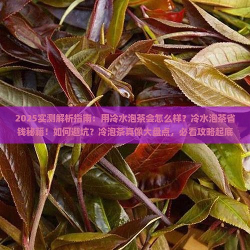 用冷水泡茶会怎么样