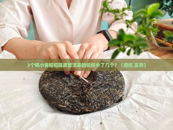 小青柑和陈皮普洱茶