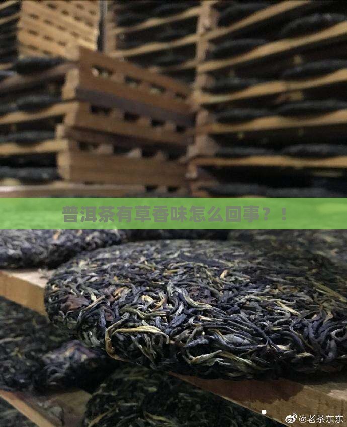 普洱茶有草香味怎么回事