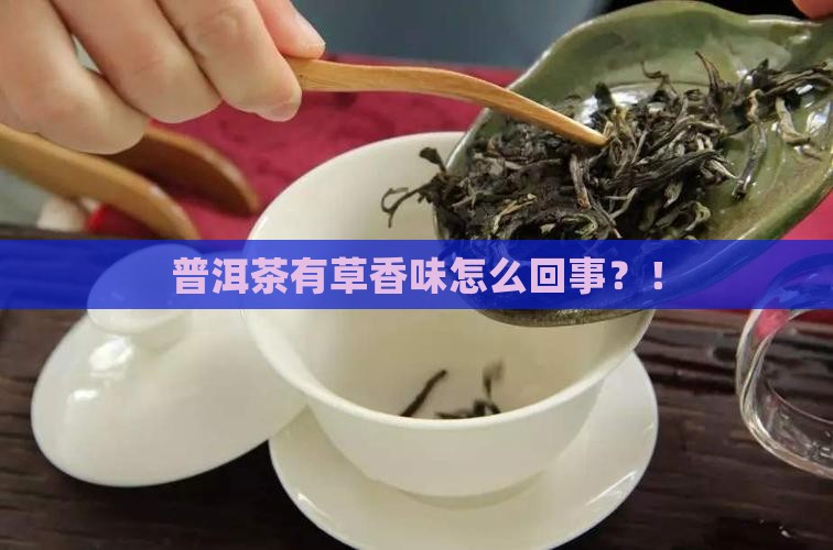 普洱茶有草香味怎么回事