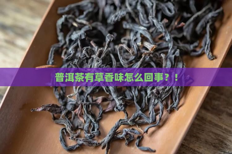 普洱茶有草香味怎么回事